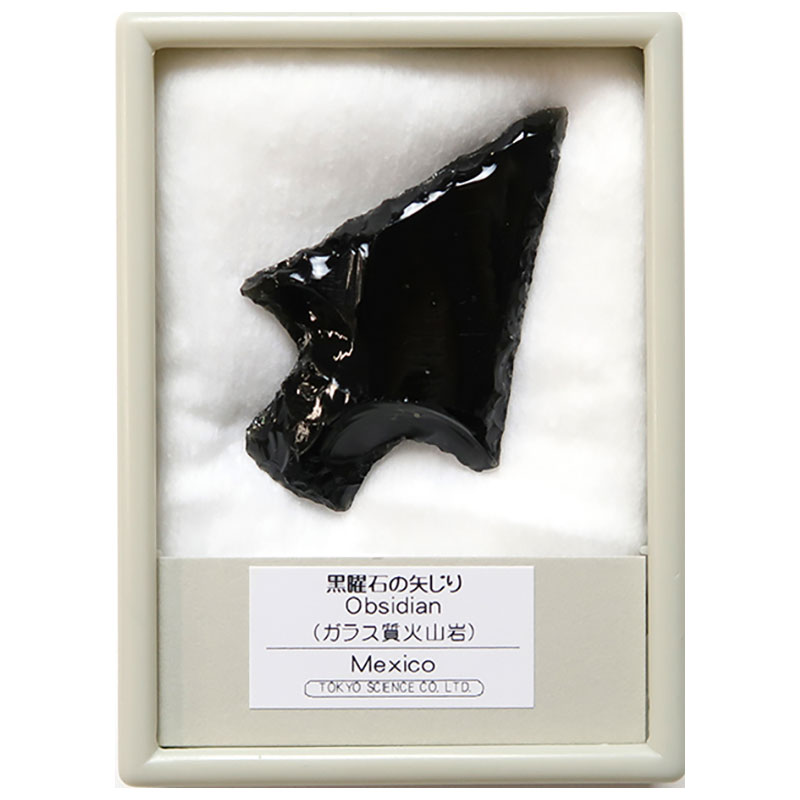 がちがち 石器 模写 269 スクレーパー 石槍 黒曜石 サンプル がちがち