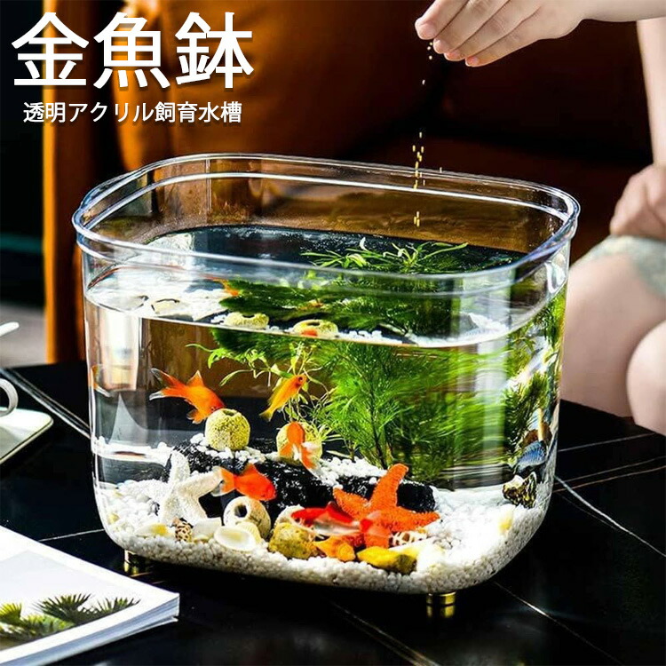 楽天市場】プラ 水槽 25l（熱帯魚・アクアリウム｜ペット・ペット