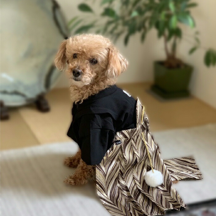 犬服 3S わんこの普段着格子