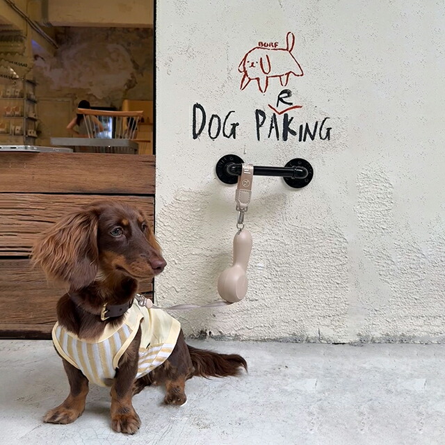 楽天市場】FurReal ファーリアル chocoleash retractable leash FS