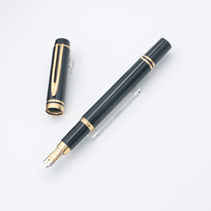 楽天市場】WATERMAN ウォーターマン 万年筆 ル・マン100 ブラック F