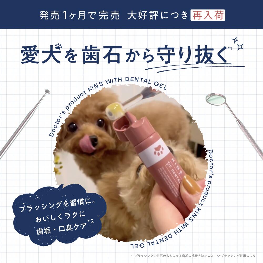 楽天市場】【ポイント10倍 2/4 20:00 - 2/10 1:59】【公式】 KINS WITH