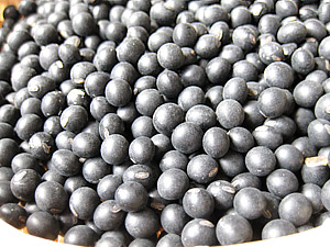 楽天市場】黒豆（黒千石大豆）450g≪北海道産黒大豆≫【メール便対応