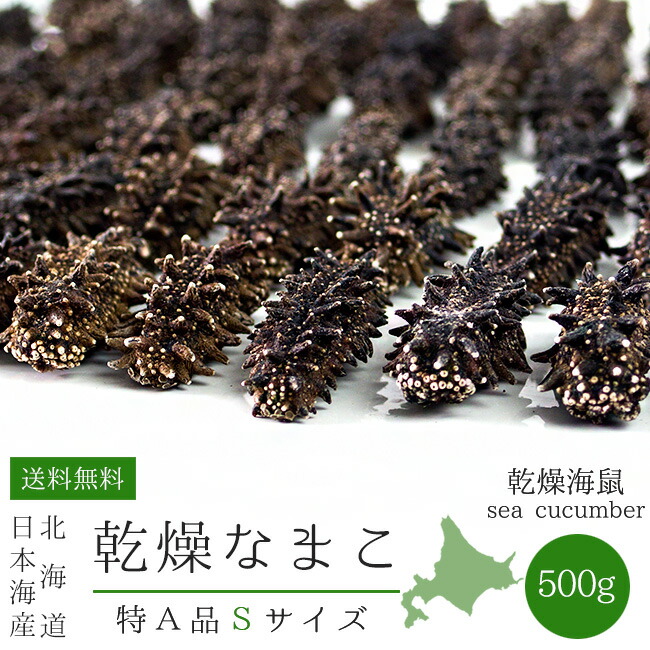 楽天市場】乾燥ナマコ特A級品Sサイズ500g 1本4g～6g前後【特Aランク