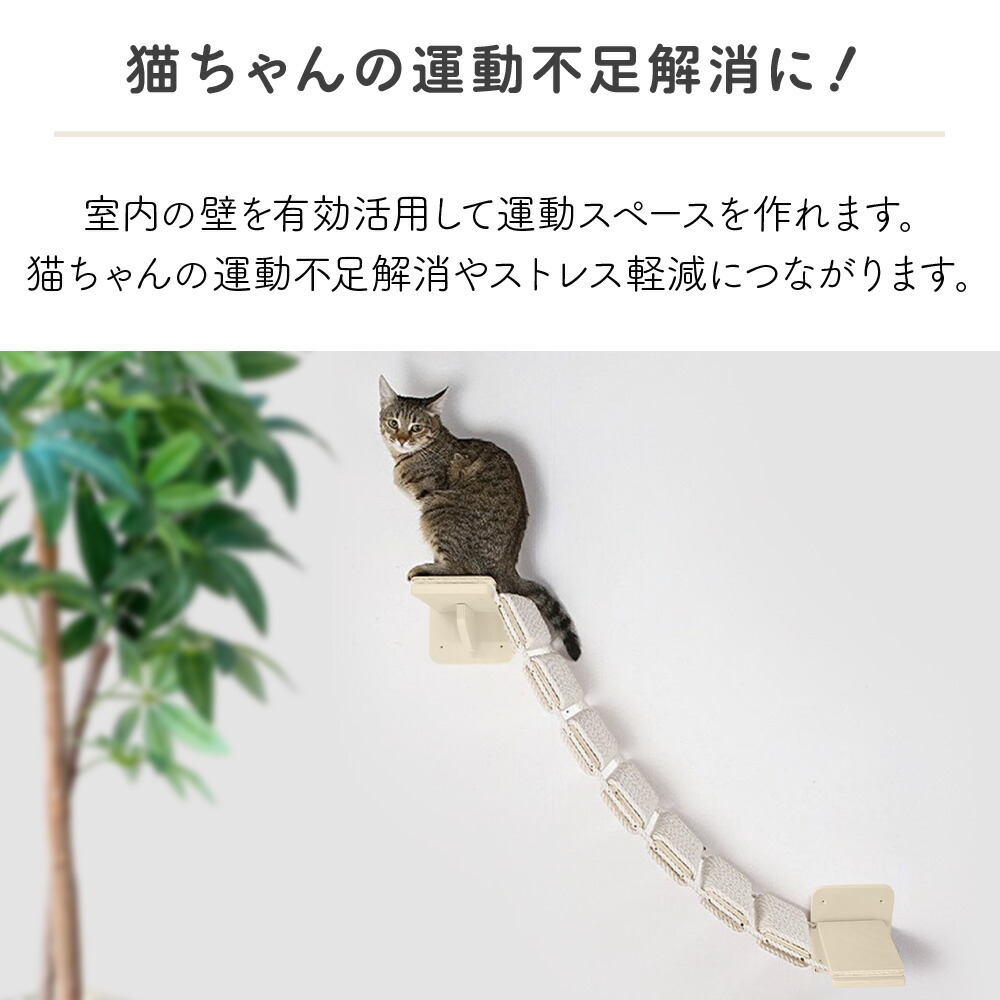 楽天市場】【LINE登録ですぐ使えるクーポン配布中】 キャットウォーク