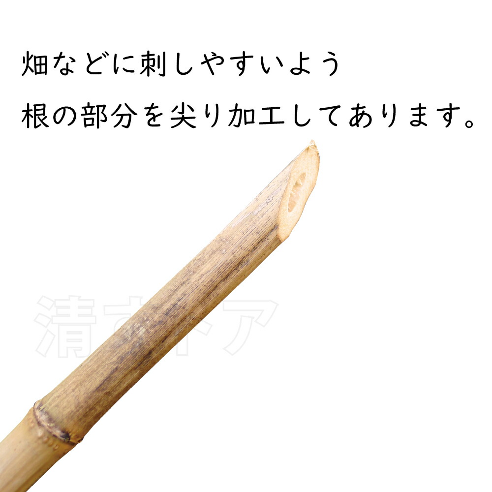 楽天市場】女竹 3尺 径6〜15mm×長さ90cm 雌竹 めだけ 竹支柱 なよたけ