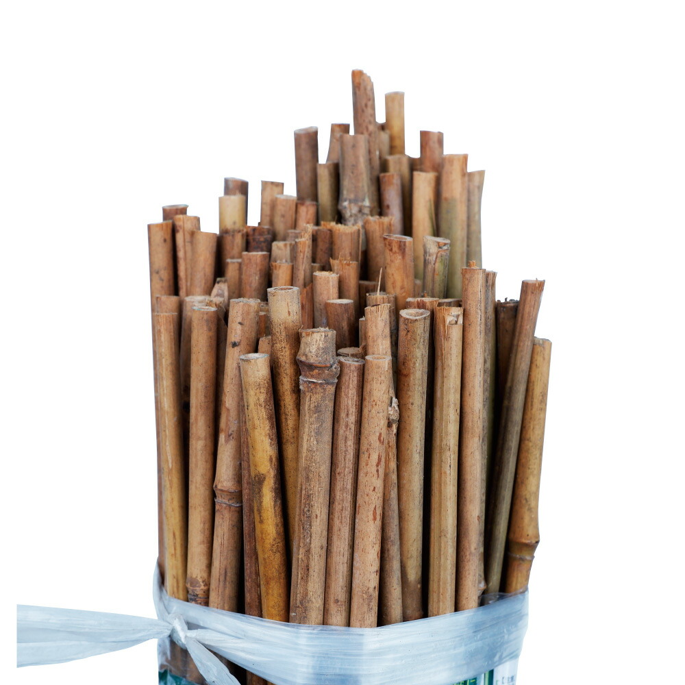 楽天市場】女竹 3尺 径6〜15mm×長さ90cm 雌竹 めだけ 竹支柱 なよたけ