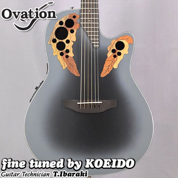 楽天市場】Ovation Celebrity Elite CE44 RBB-G【ストラップ、スペア弦