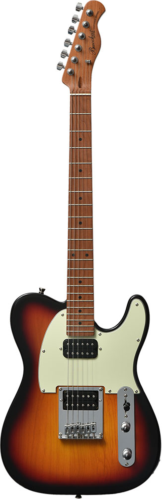 怒犬-Dokken-】バッカス ユニバース テレキャスBTE-3改 怒犬-Dokken