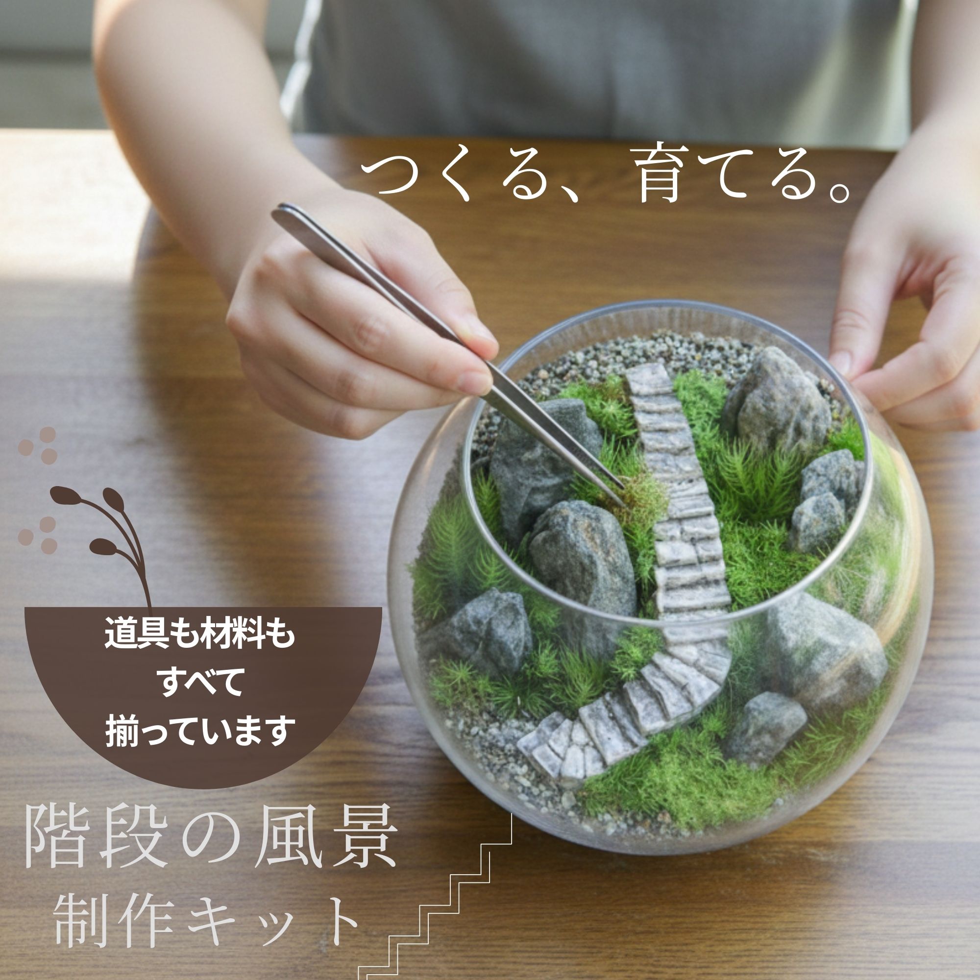 こけむすび こけむすび 苔テラリウム体験 | 苔むすび