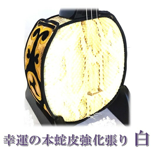 楽天市場】三線 本皮 幸運の本蛇皮強化張り：白 真壁型 黒塗り