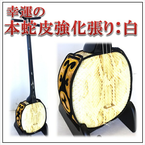 楽天市場】三線 本皮 幸運の本蛇皮強化張り：白 真壁型 黒塗り