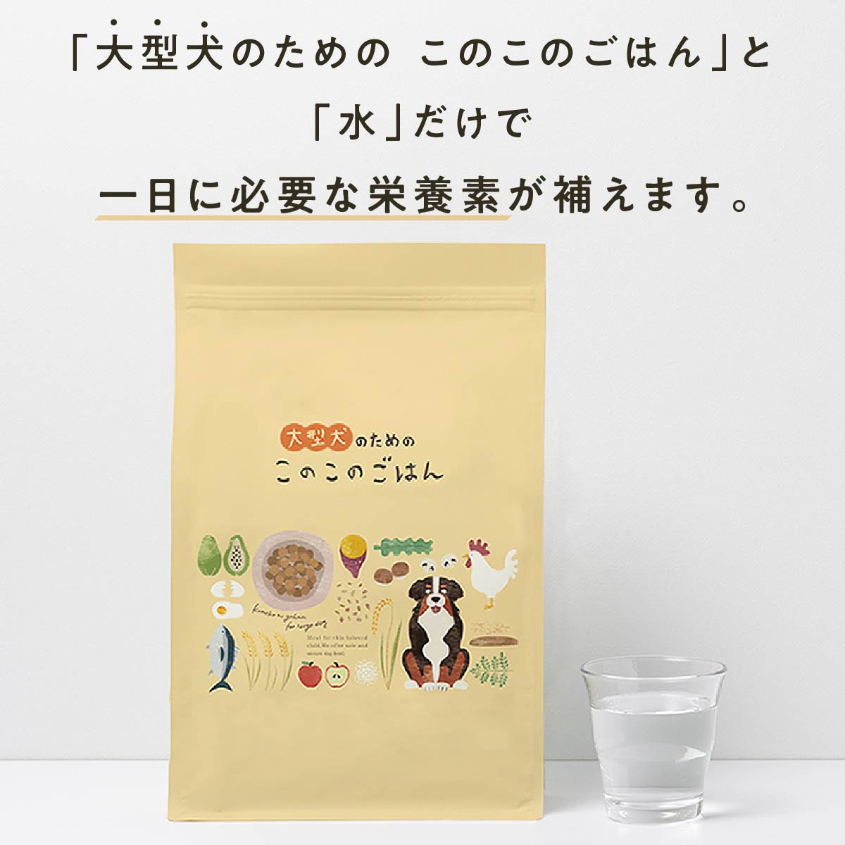 楽天市場】【 公式 】 大型犬のための このこのごはん コノコトトモニ