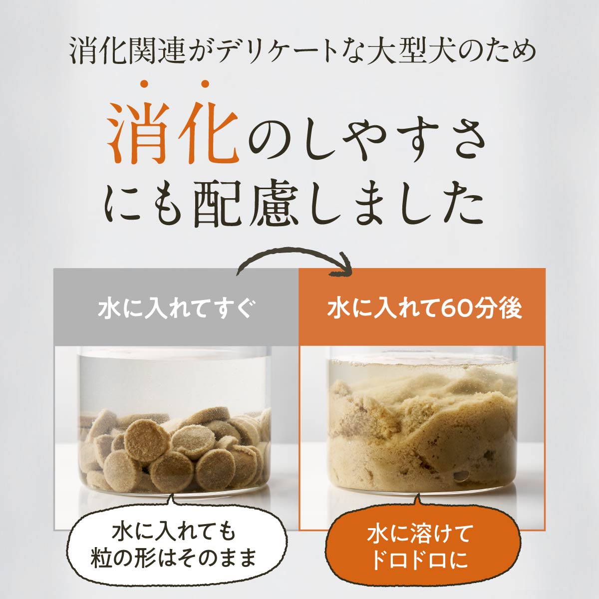 楽天市場】【 公式 】 大型犬のための このこのごはん コノコトトモニ