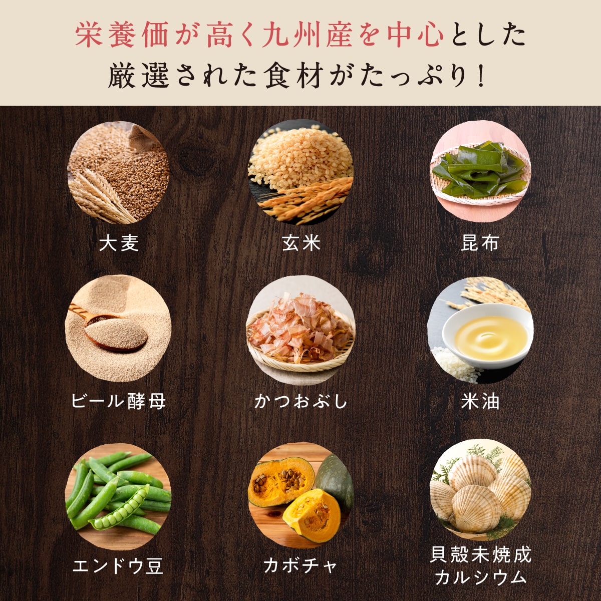 シニアのための このこのごはん 3袋セット 【公式通販】