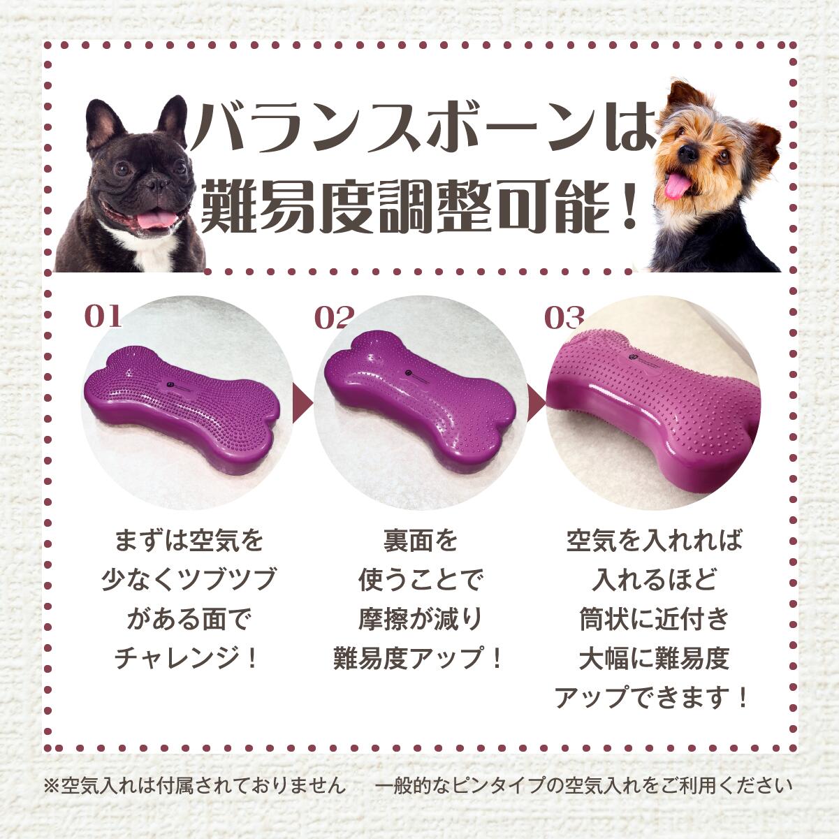 k9フィットボーン k9fitボーン 犬 体幹トレーニング バランスボール