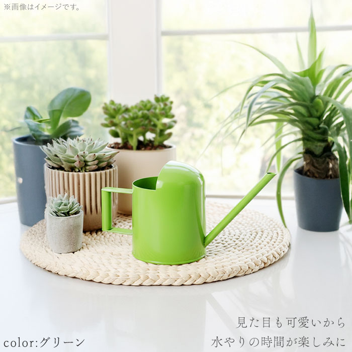 楽天市場】じょうろ ミニ 定番 水やり 小さい 小型 300ml 北欧 水差し