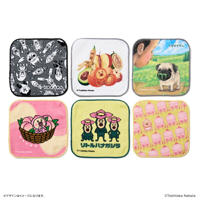 こびとづかん リトルハナガシラ 飼育セット カバヤ こびとづかん 飼育