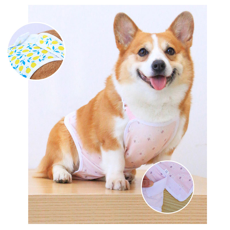 楽天市場】【在庫僅か⇒500円】犬用 サニタリーパンツ マナーパンツ