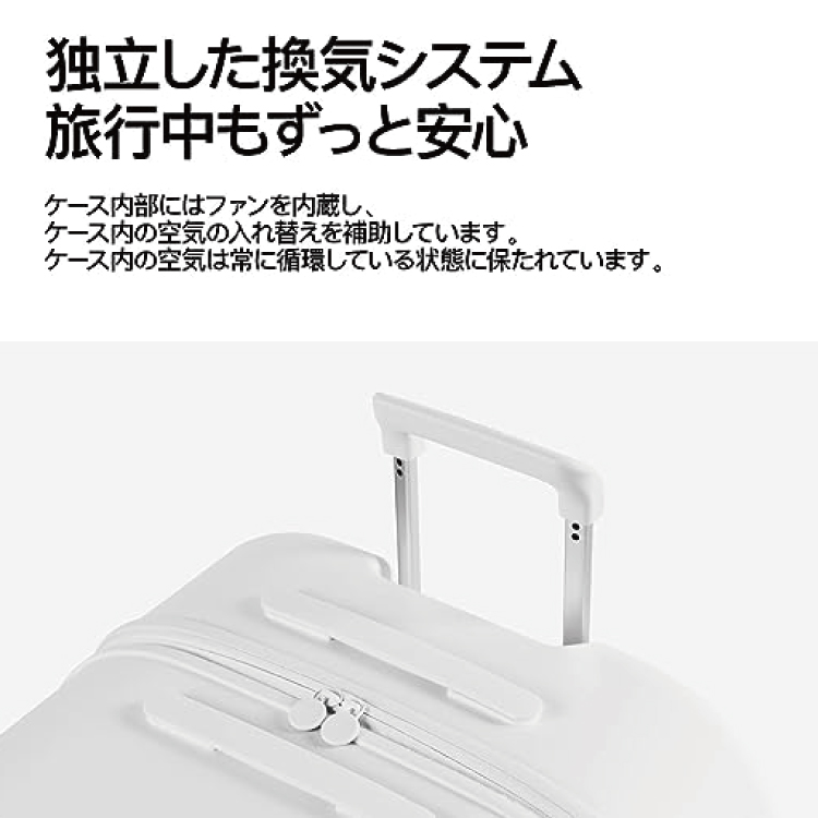 楽天市場】ピダン pidan 猫 犬 ペット用 キャリー バッグ キャスター