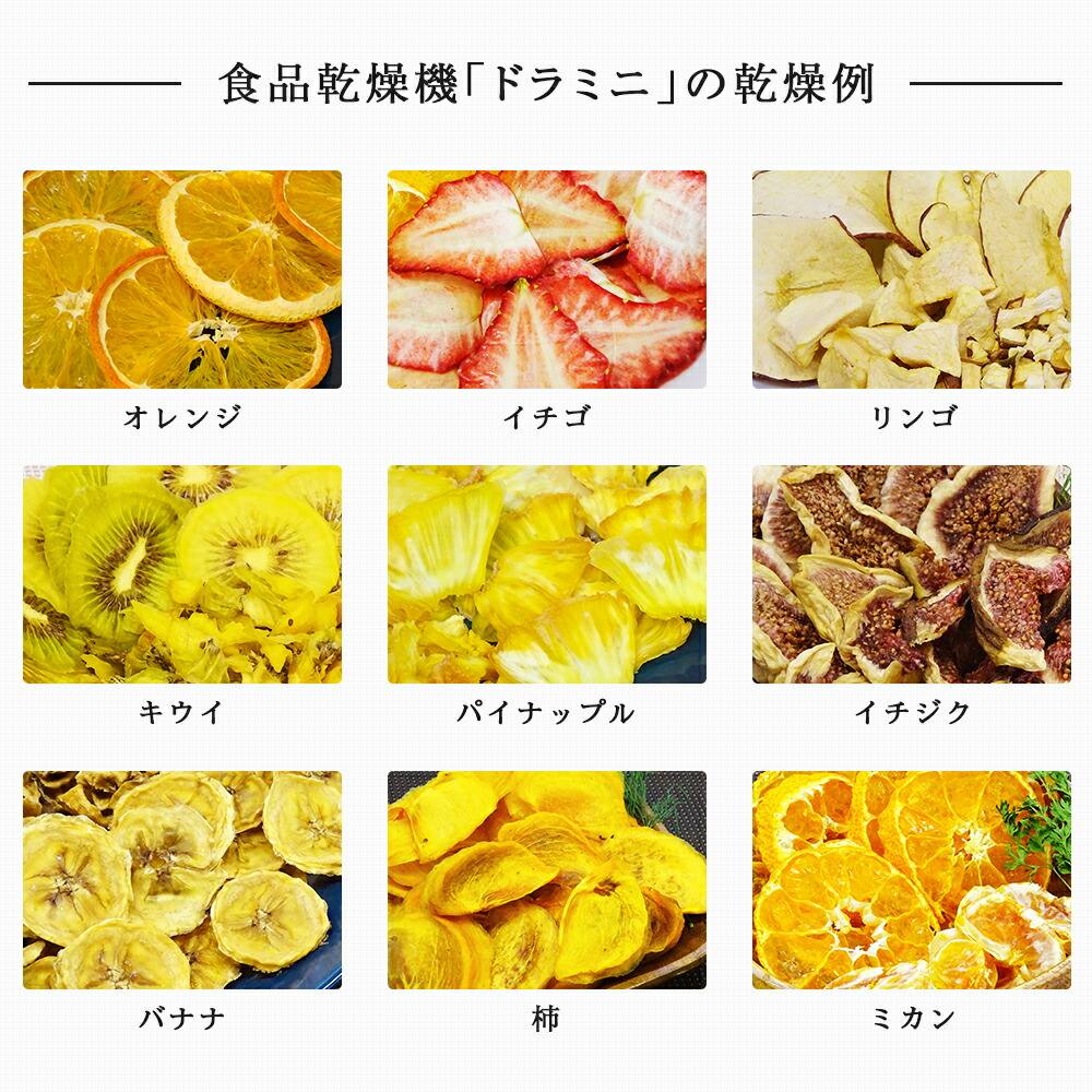 楽天市場】フードドライヤー 食品乾燥機 ドライフルーツメーカー