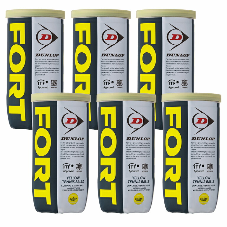 DUNLOP ダンロップFORT フォート 2個入2箱 60缶/120球 ダンロップ