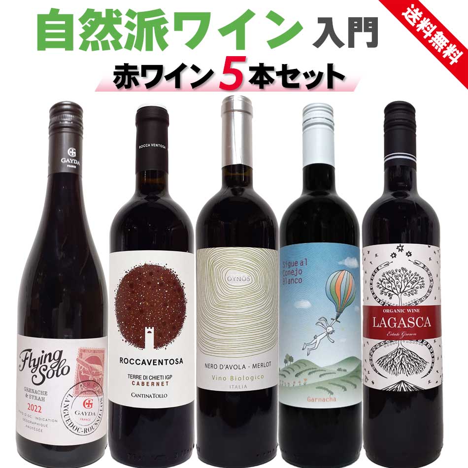 楽天市場】自然派ワイン入門セット 赤ワイン5本セット フランス