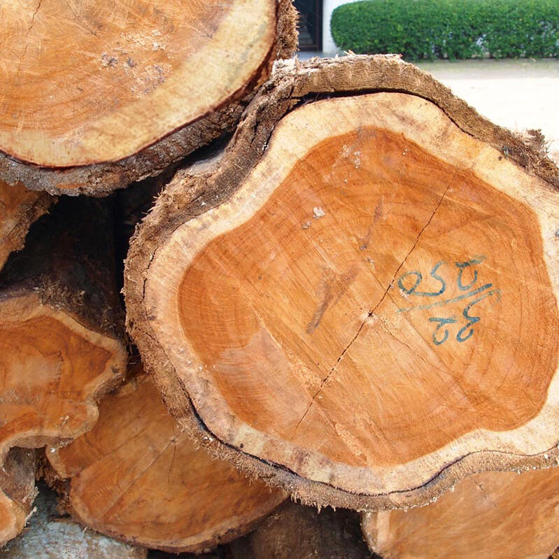 楽天市場】アジアン家具 ダイニング5点セット ダイニングセット ロー