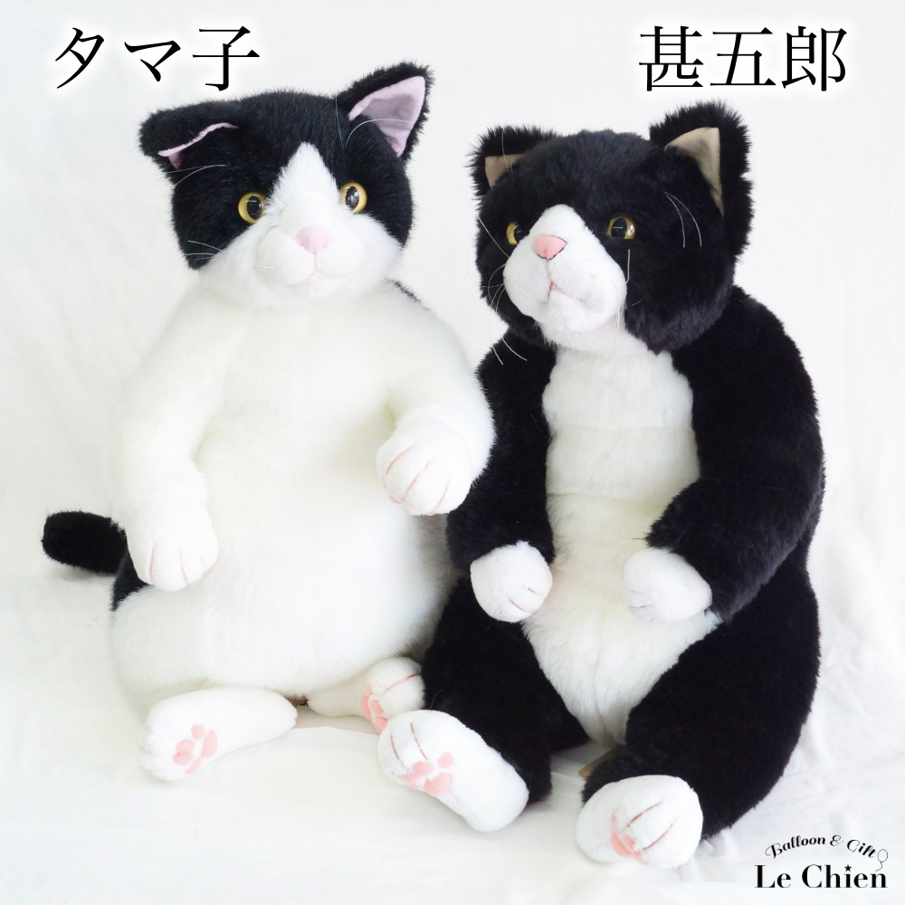楽天市場】Cuddly カドリー ぬいぐるみ 猫 ねこ ネコ リアル 甚五郎