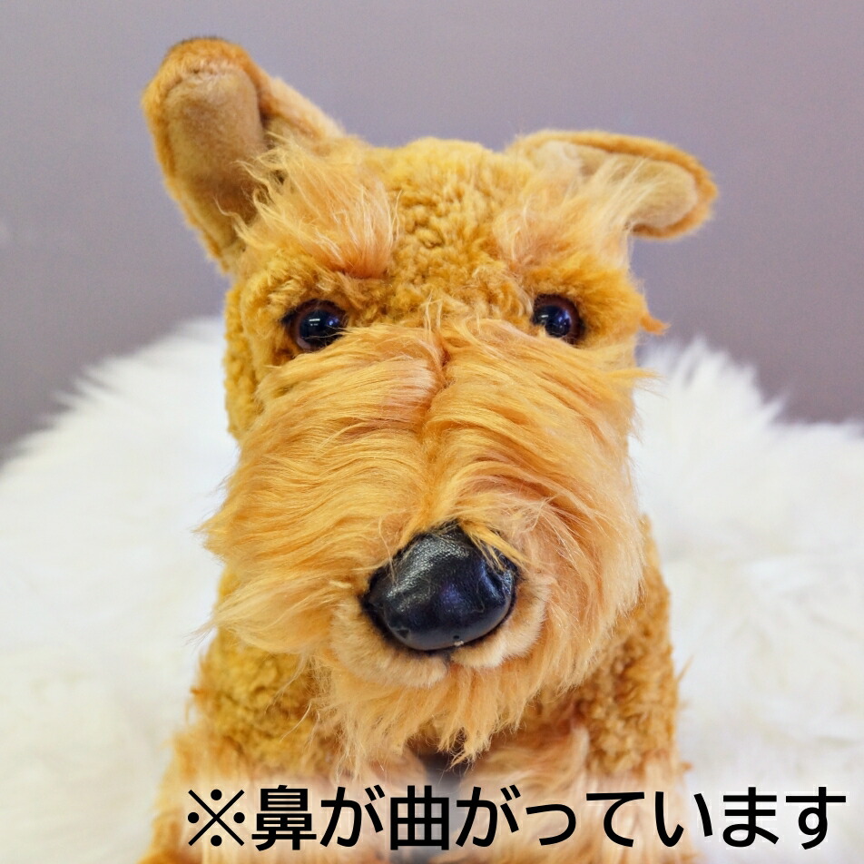 アフタヌーンティー 犬 レア ぬいぐるみ 首輪付き エアデールテリア