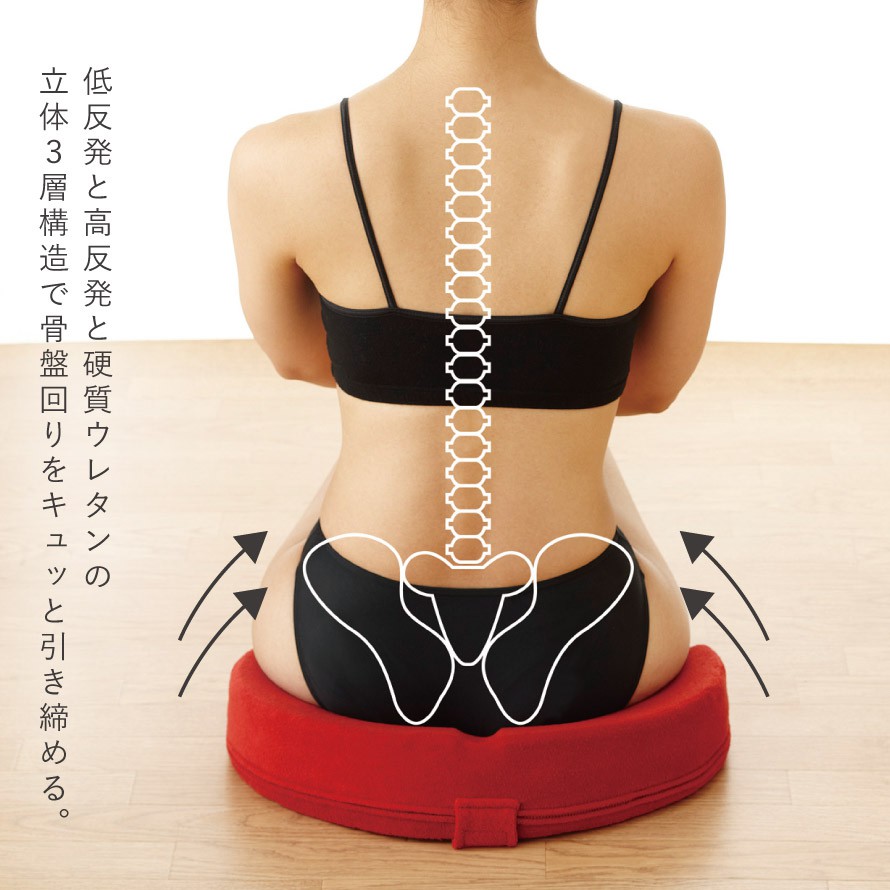 電磁パルス hi-met 痩身 スカルプト (坐骨クッション 骨盤型 追加可