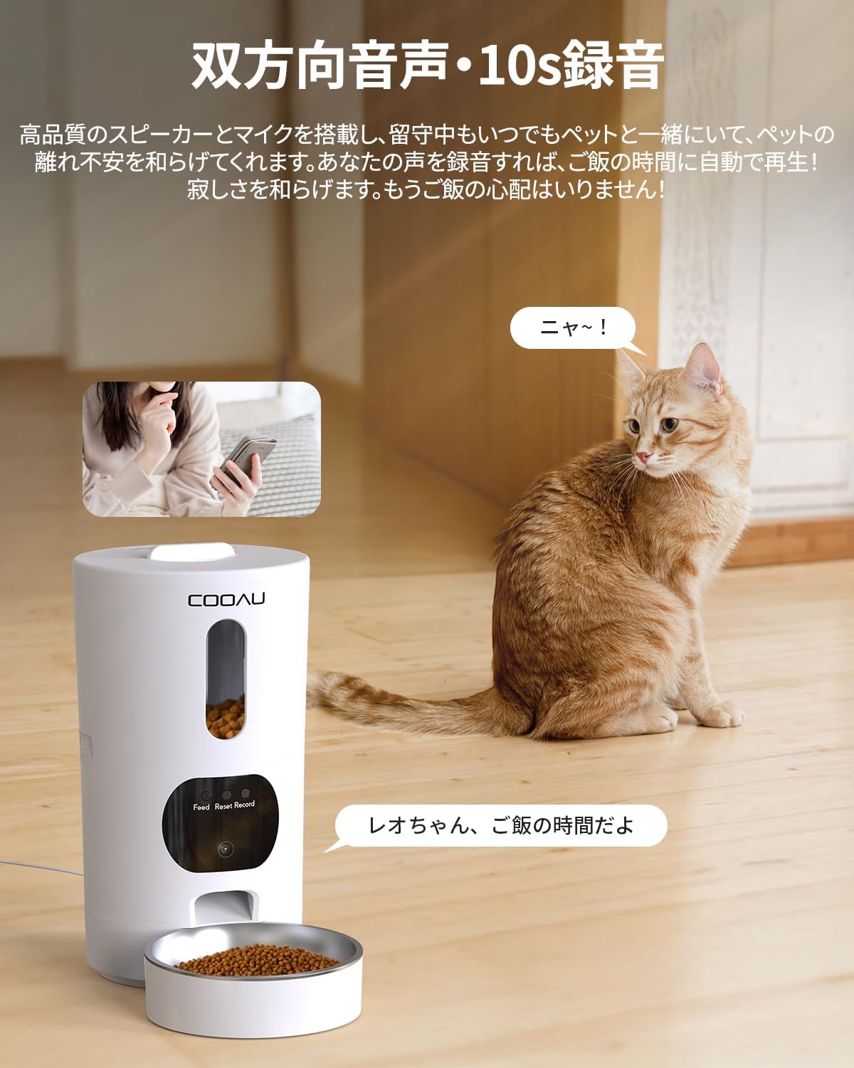 楽天市場】【セール価格8,499円】2年保証 自動給餌器 猫 4.5L大容量