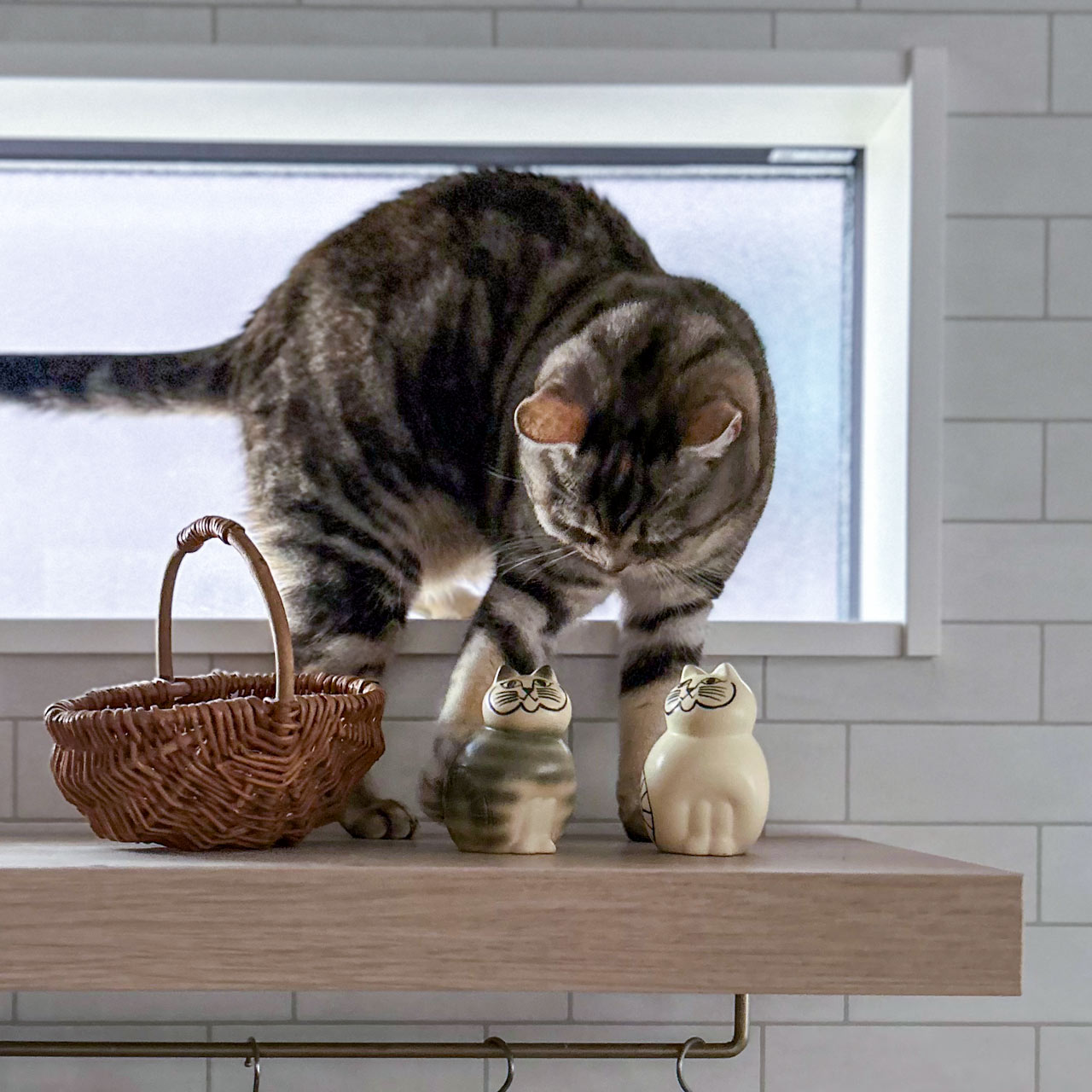 楽天市場】【個体で選べる】 プレゼントボックス入り 正規品 MIA S