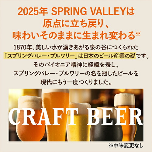 即購入ok SPRING VALLEY 496 ビール 24本x2 48本セット キリン（KIRIN