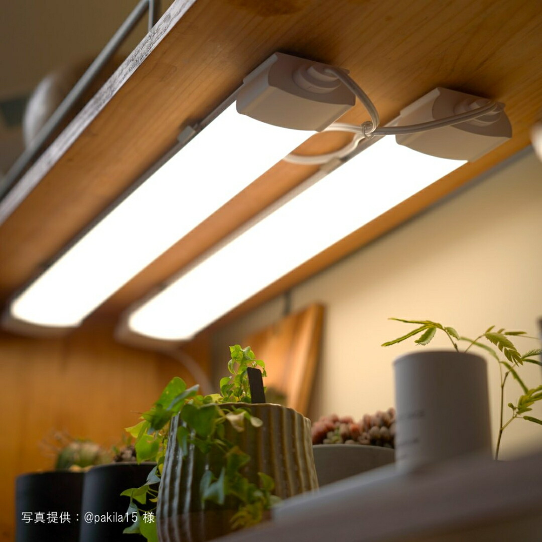楽天市場】BARREL バレル【SHELF GROW SLIM】植物育成ライト LED照明