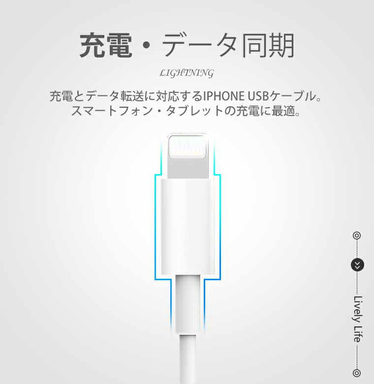 楽天市場】【2本セット】iPhone 13/13 Pro/13 Pro Max USB 充電