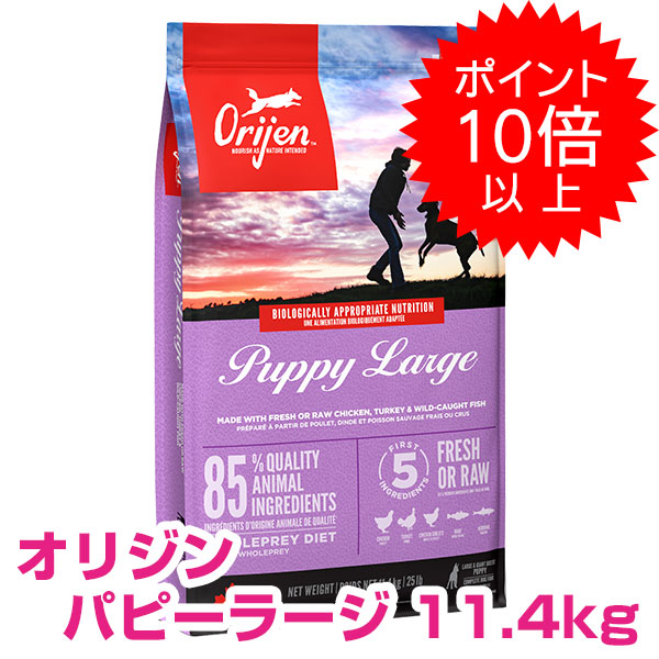 Origin オリジン ドッグフード PuppyLarge パピーラージ 大型犬 パピー