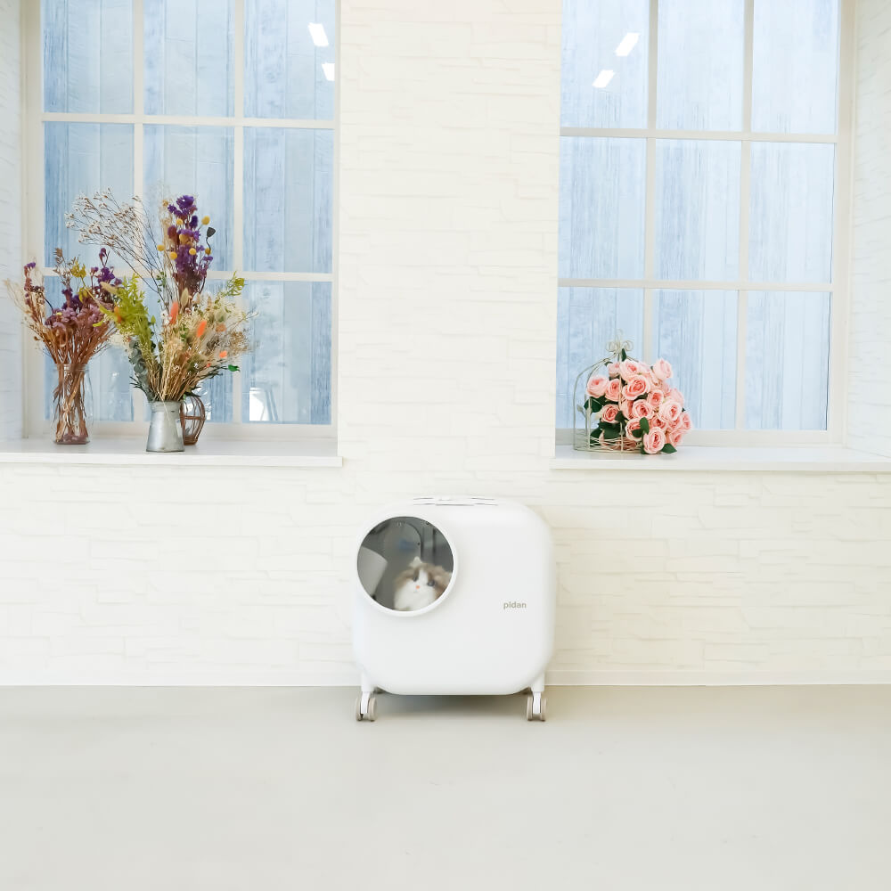 楽天市場】pidan ピダン スマートペットトラベルボックス ペット