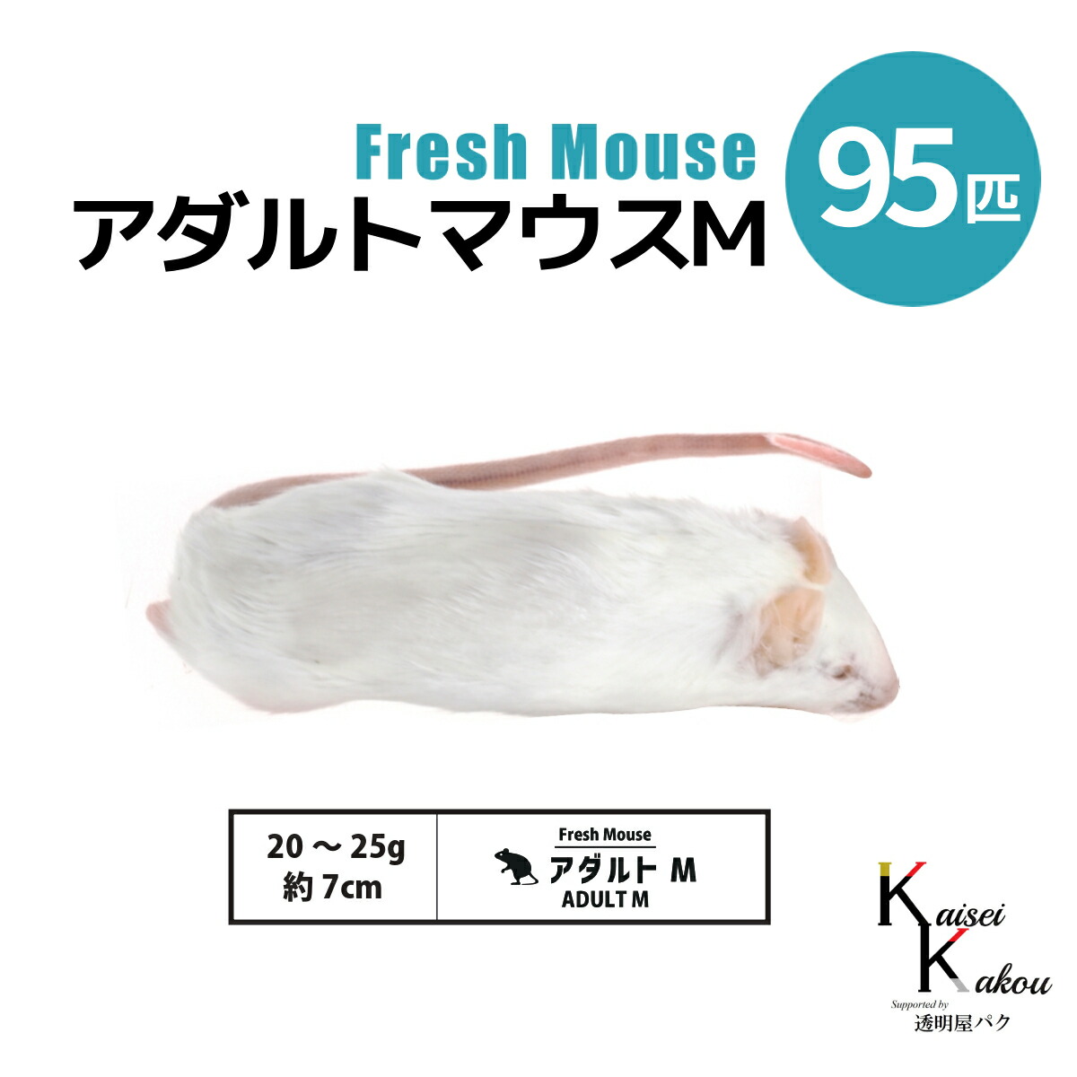 両生類用エサ 爬虫類 冷凍ラット」の人気商品一覧 | 安い商品を通販