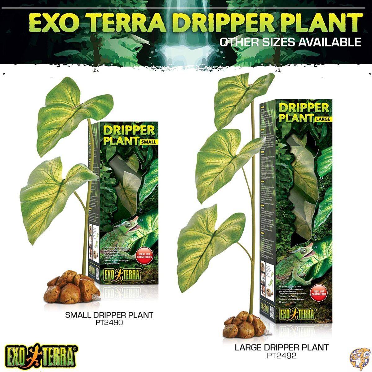 楽天市場】【最大1000円クーポン!4日&5日】Exo Terra Dripper Plant