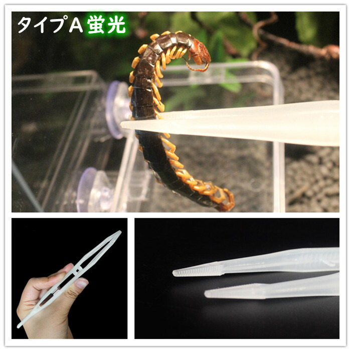 根付け トカゲ 蜥蜴 爬虫類 竹 Amazon | 爬虫類ピンセット 給餌