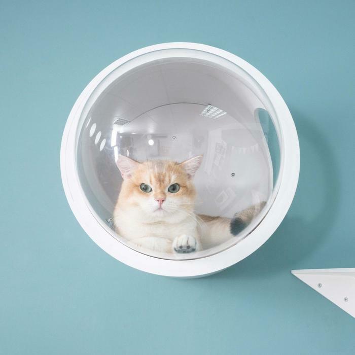 楽天市場】MYZOO マイズー 宇宙船GAMMA キャットハウス キャット