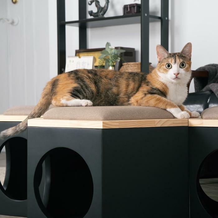 myzoo 六角ハウスチェアセット マイズー キャットウォーク ロー