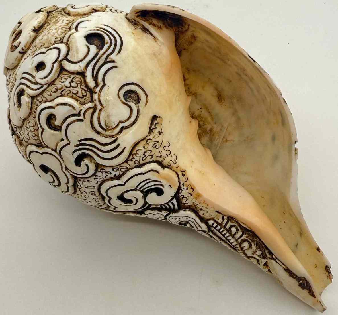 楽天市場】◇チベット密教法具 法螺貝（シャンカ）白傘蓋仏頂