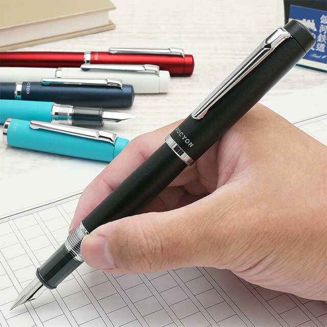 楽天市場】【2/10は最大P5倍！】 プラチナ万年筆 名入れ 万年筆