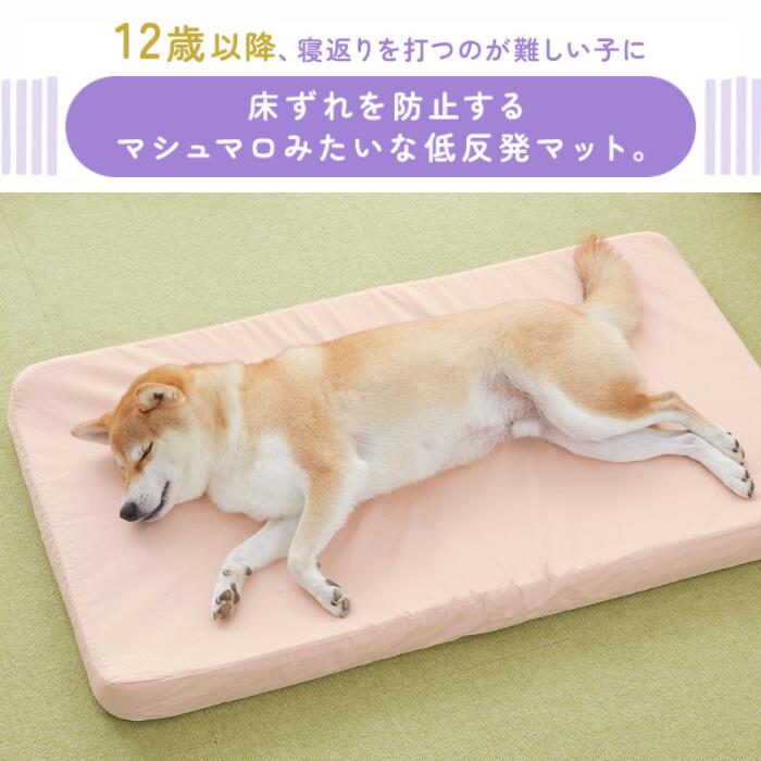 楽天市場】アルテア体圧分散マット 低反発ベッド 介護用ベッド 体圧