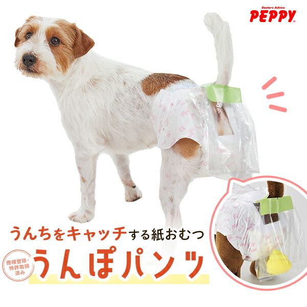 楽天市場】うんぽパンツ 犬 おむつ 便キャッチ うんち袋 介護 おもらし