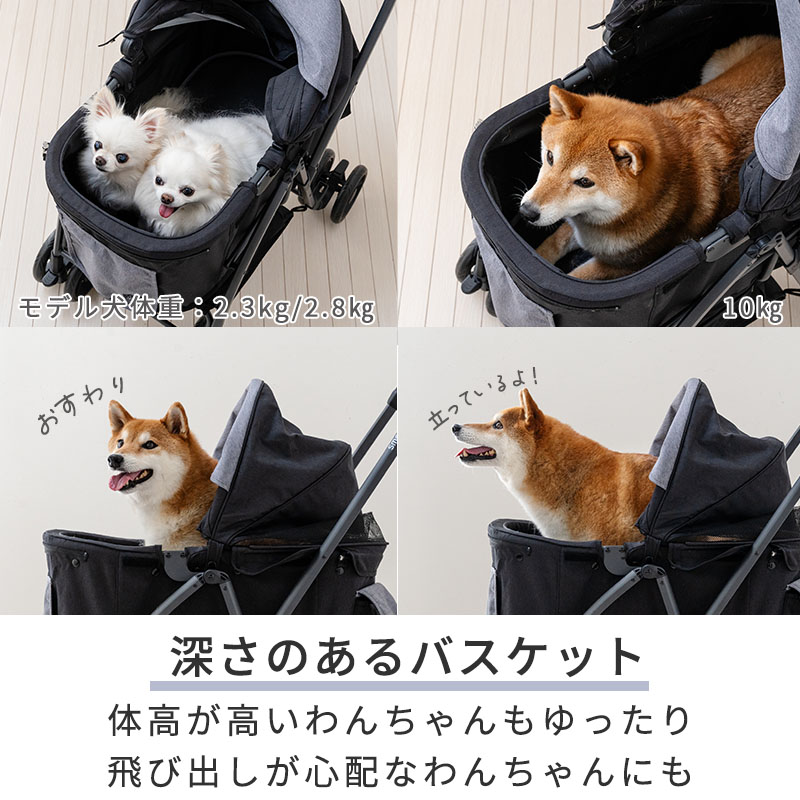 楽天市場】【ポイント10倍】【880円OFF】【ペットパラダイス公式】 犬