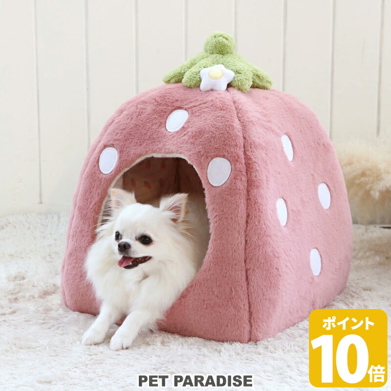 楽天市場】【ポイント10倍】【880円OFF】【ペットパラダイス公式】 犬