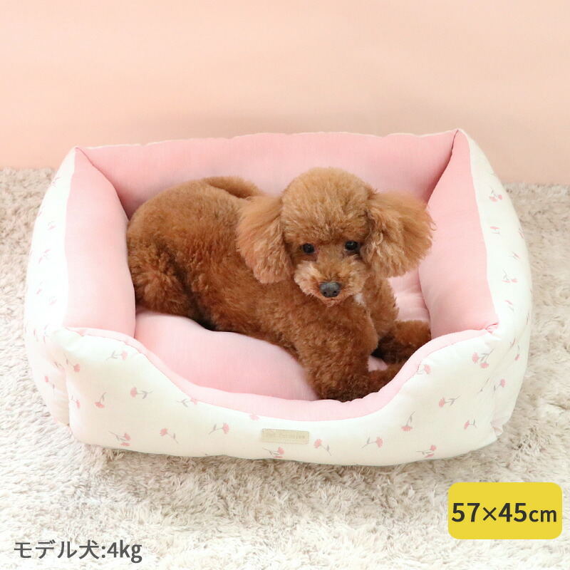 楽天市場】【ポイント10倍】【880円OFF】犬 ベッド ペットベッド